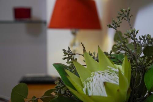 Boutique Guest Accommodation Zephyrus Boutique Guest Accommodation Zephyrus