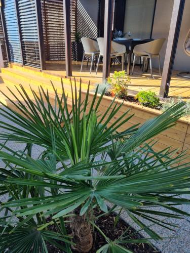 Mobile Home Palma