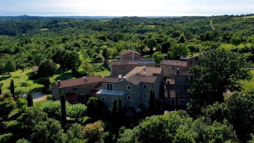L'abbraccio della quercia L'abbraccio della quercia