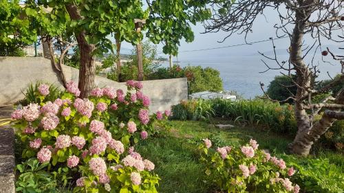 Apartments Mare Croatia Apartments Mare Croatia