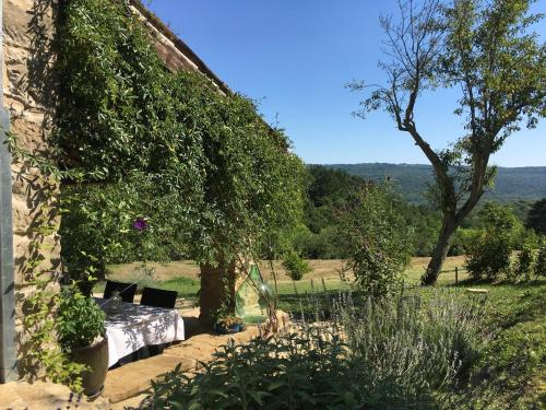 Bolara 60: the Cottage