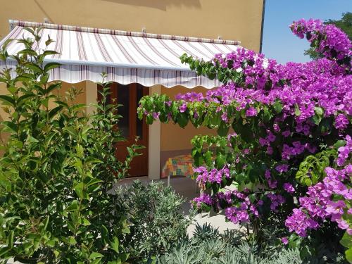 Apartman Mi Apartman Mi