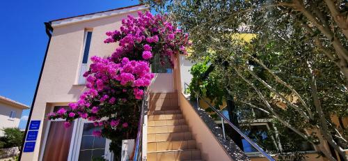Apartments Marin, Kolan, Mandre, Pag