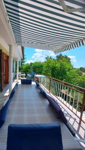 ANTE Accommodation