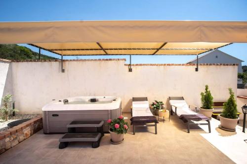 House Olive tree