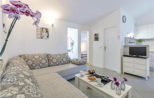 Amazing Apartment In Medulin With Wifi
