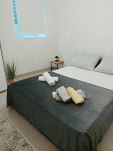 Apartman CannaVis 