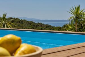 Luxury Apartment Nugal