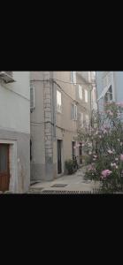 Apartment Nona
