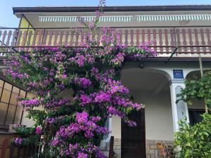 Apartment Marija Selce