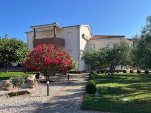 Apartments Maric