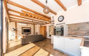 Gorgeous Home In Kijevo With Kitchen