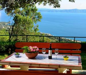 Villa Vesna