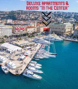 Deluxe Apartments & Rooms "In the Center"