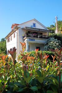 Apartmani Senka
