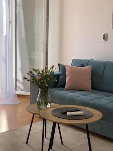 Apartman Mare Blace
