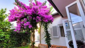Holiday home Zora - family vacation house near protected area of the Nature Park Kamenjak, with gree