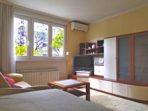 Apartment Roko